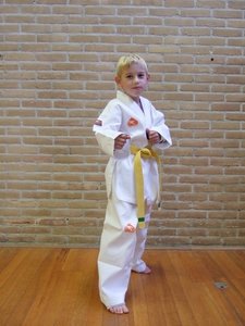Taekwondo pak 130